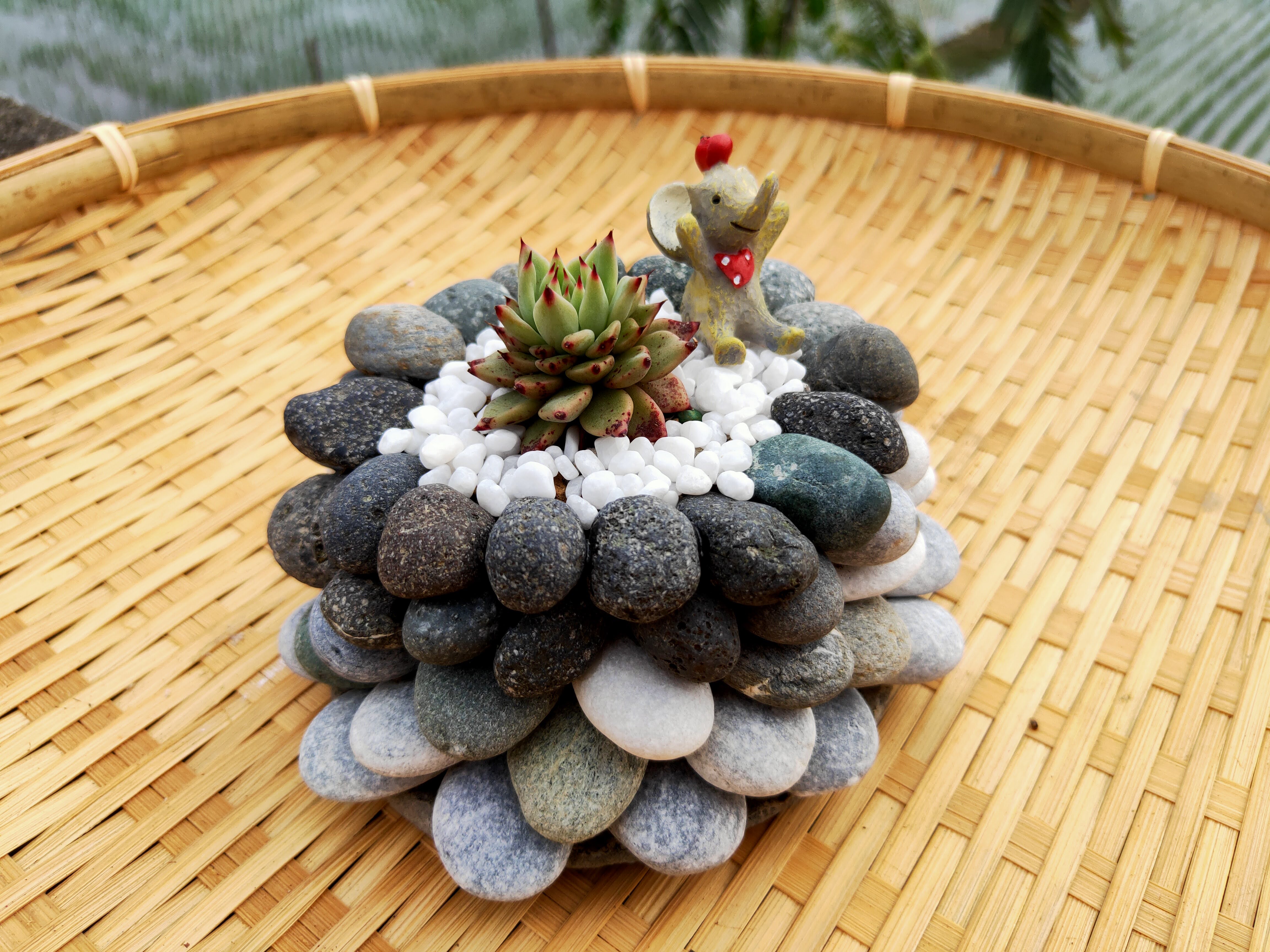 社區資訊服務網 花蓮縣政府社會處 智慧福利行動躍升平台